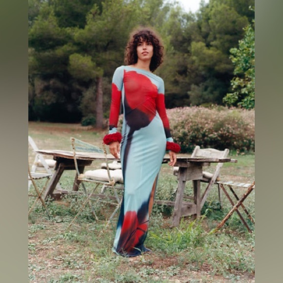 Rat & Boa Dresses & Skirts - Rat & Boa Blue Red Floral Tulip Sheer Santino Maxi dress long sleeve XL NWOT